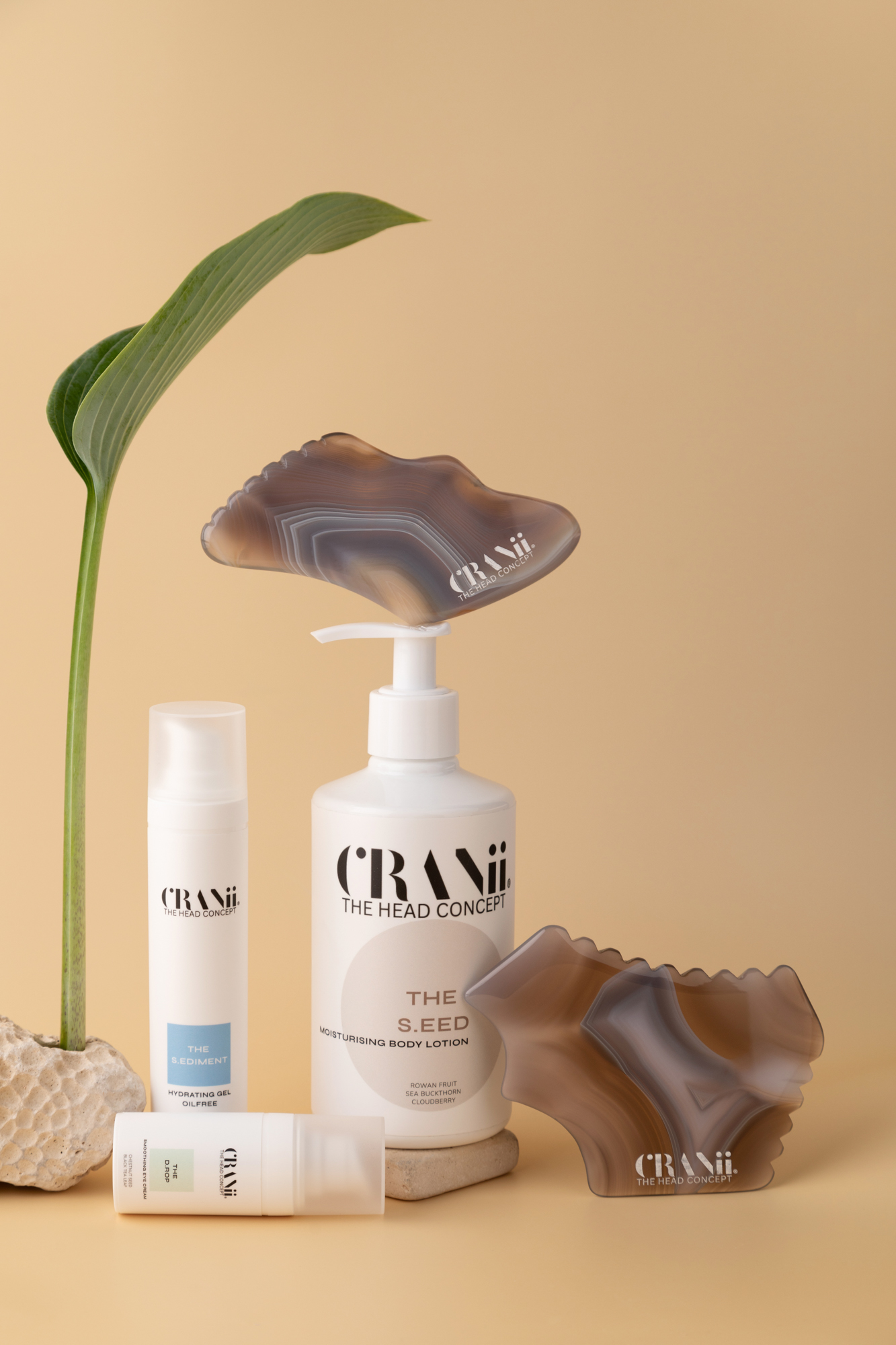 CRANii skincare products and translucent gua sha tools arranged with a green leaf on a warm beige background.